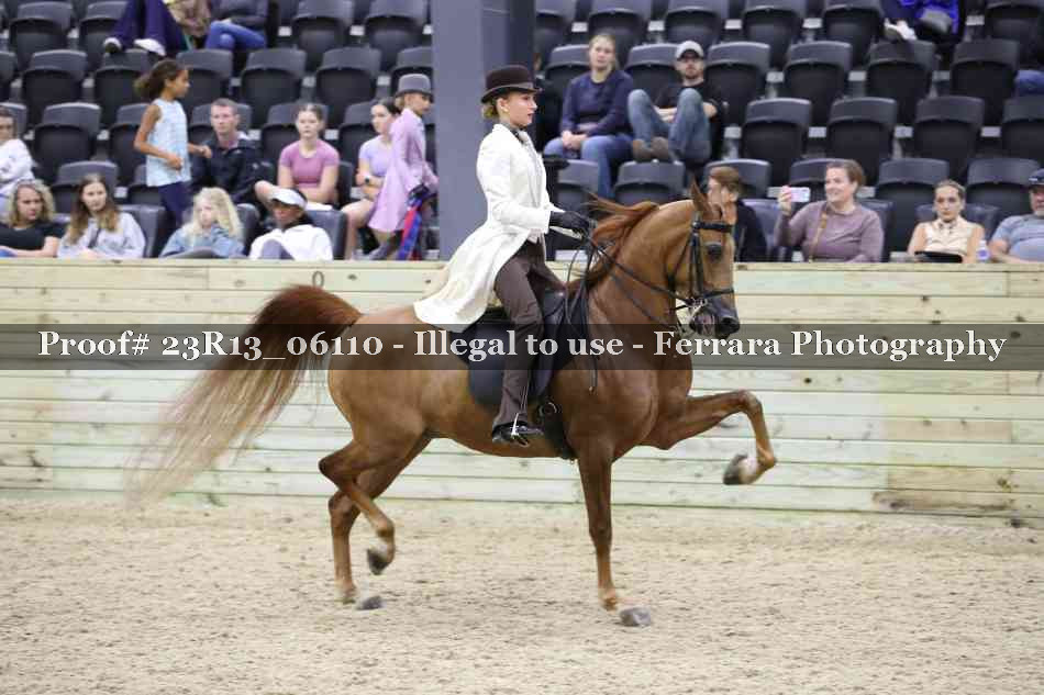 Proof 23R13_06110