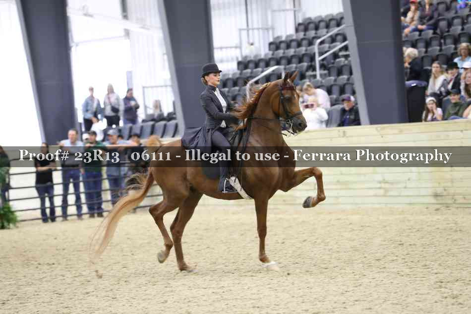 Proof 23R13_06111