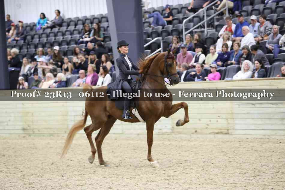 Proof 23R13_06112