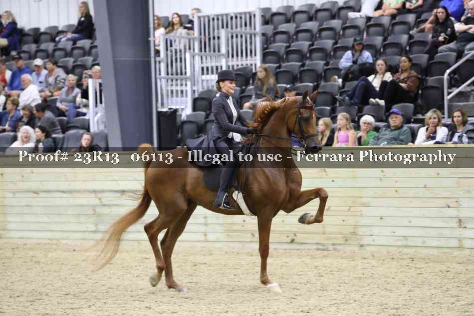 Proof 23R13_06113