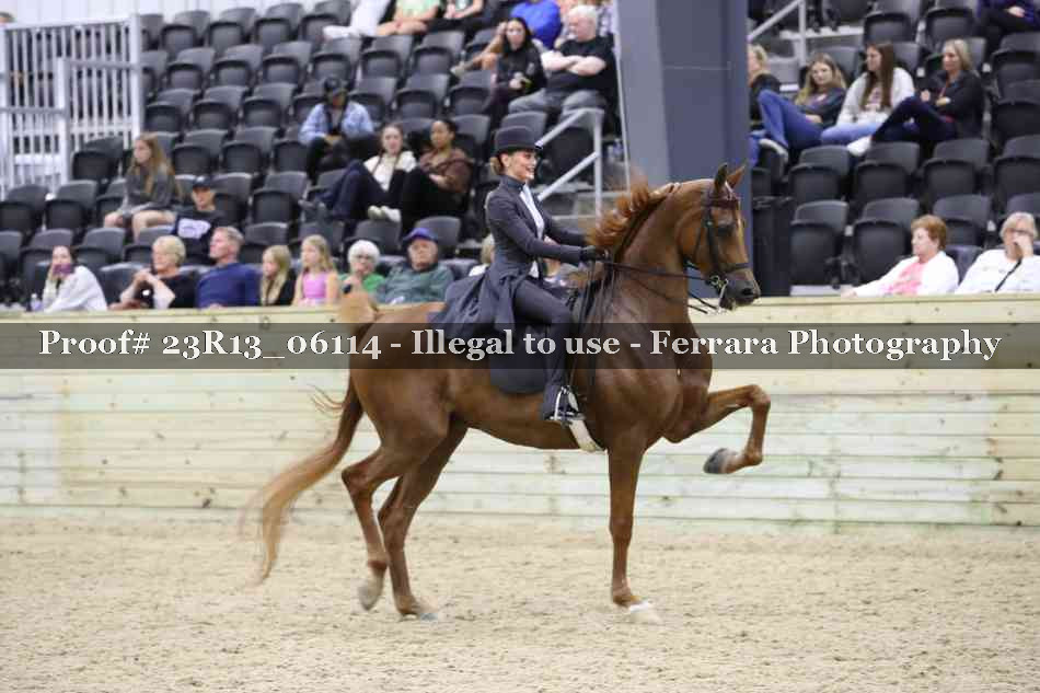Proof 23R13_06114