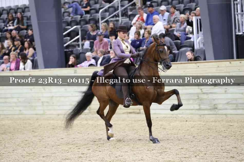 Proof 23R13_06115