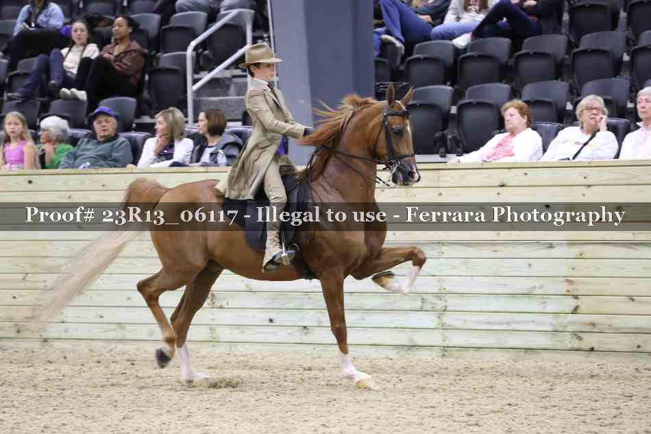 Proof 23R13_06117