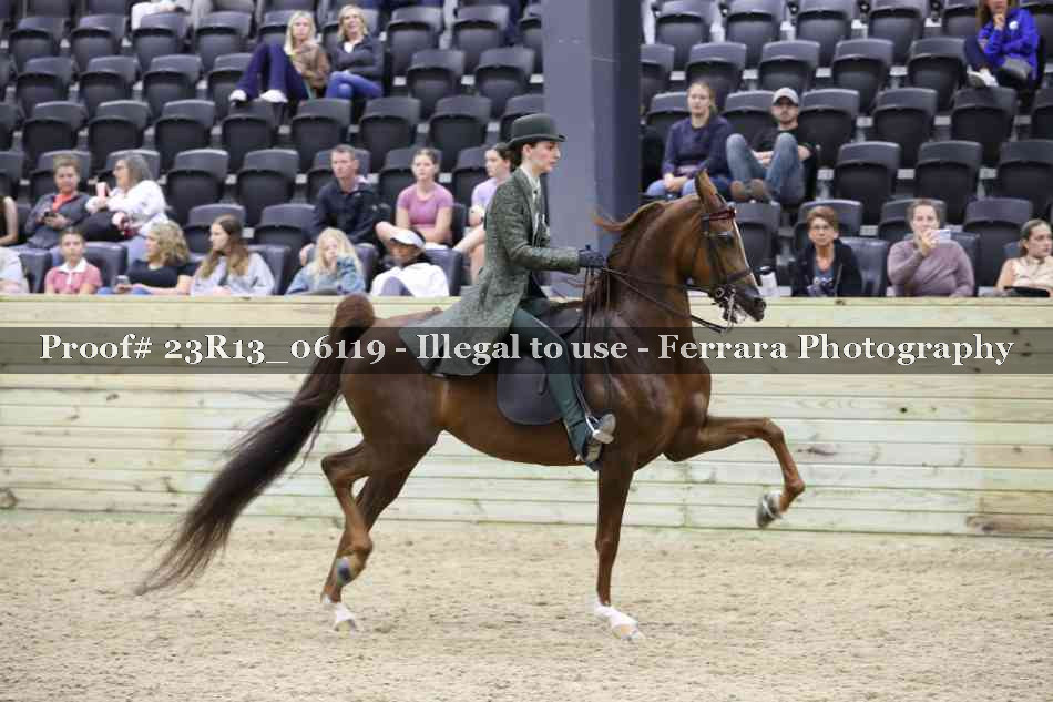 Proof 23R13_06119