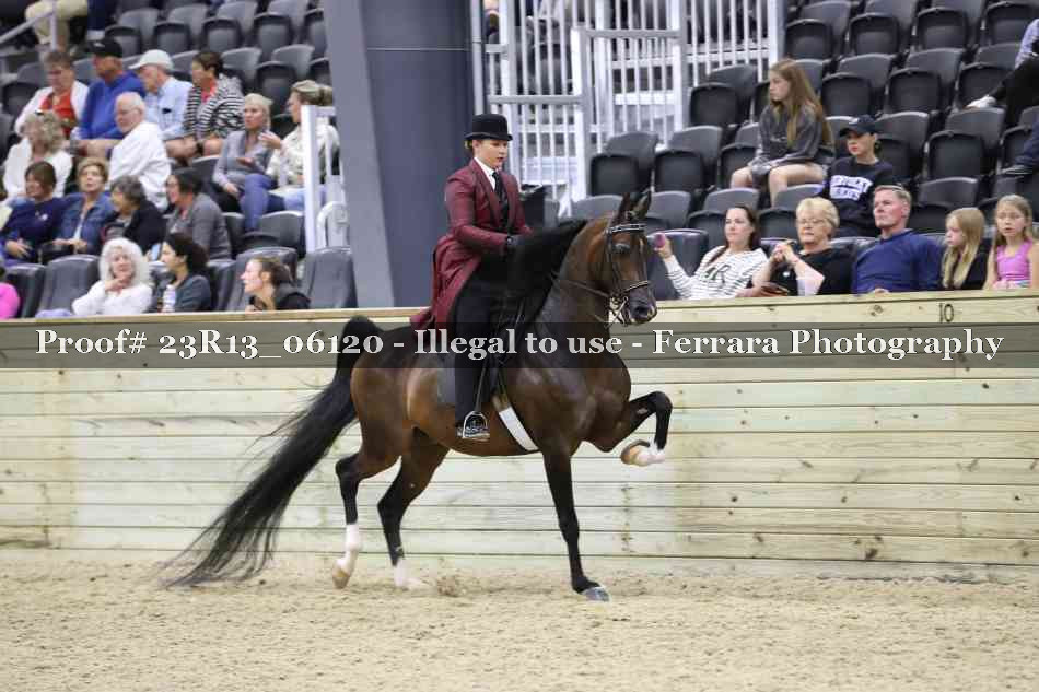 Proof 23R13_06120