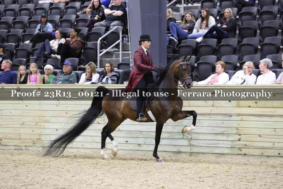Proof 23R13_06121