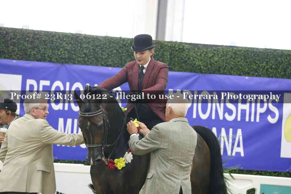 Proof 23R13_06122
