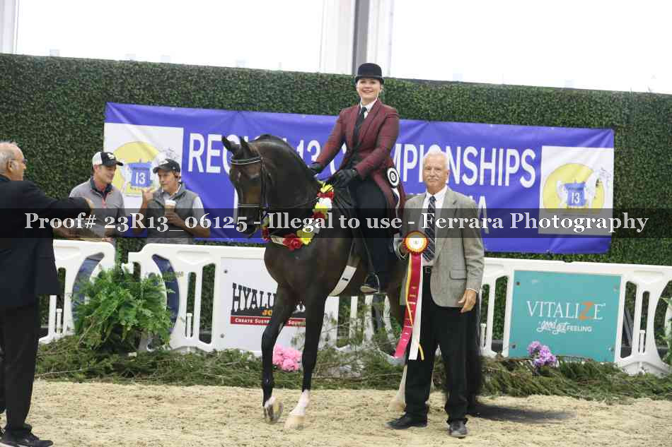 Proof 23R13_06125