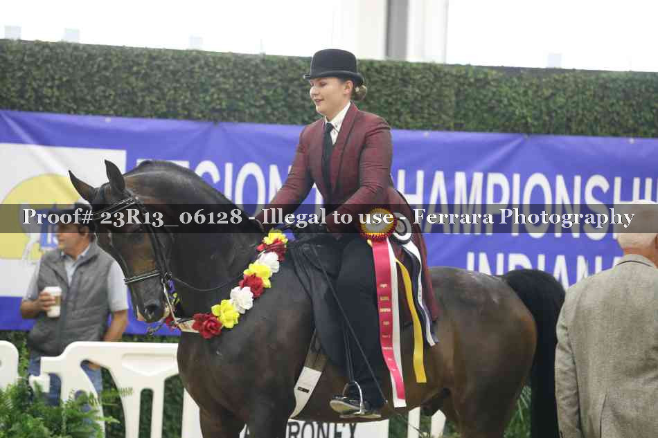 Proof 23R13_06128
