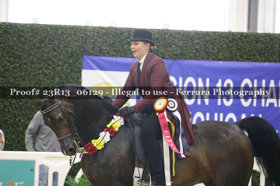 Proof 23R13_06129