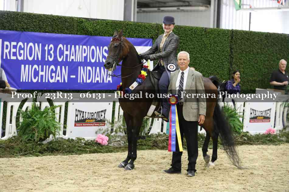 Proof 23R13_06131