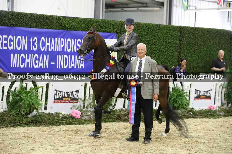 Proof 23R13_06132