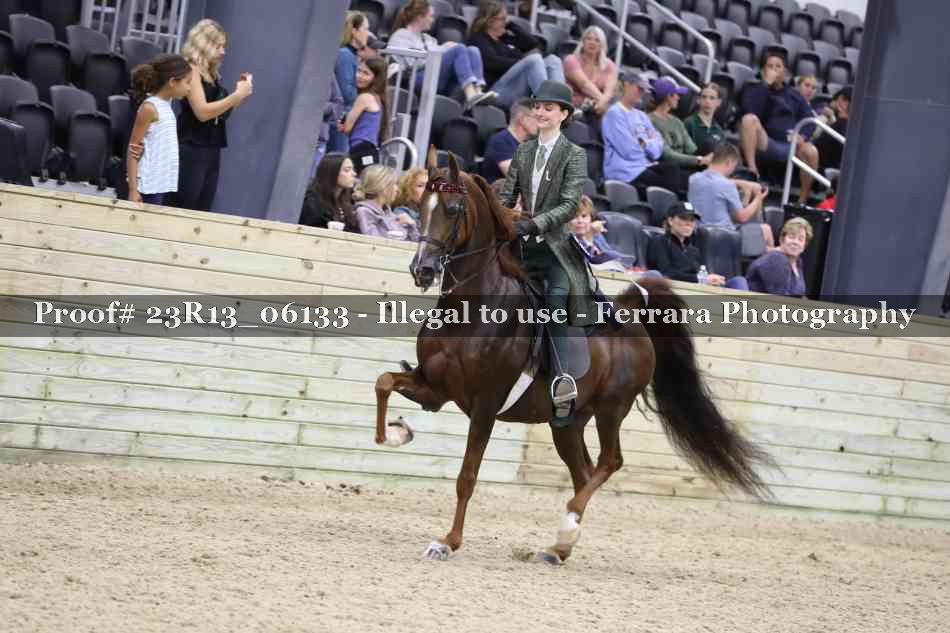 Proof 23R13_06133
