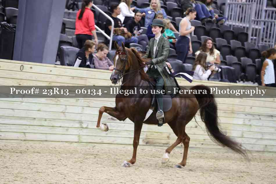 Proof 23R13_06134