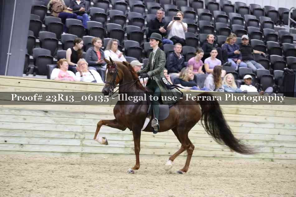 Proof 23R13_06135
