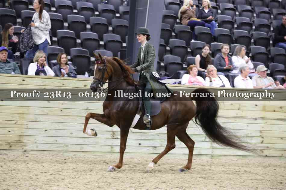 Proof 23R13_06136