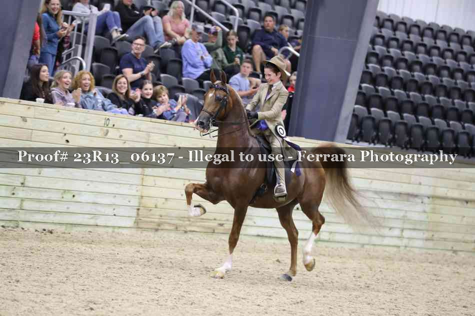 Proof 23R13_06137