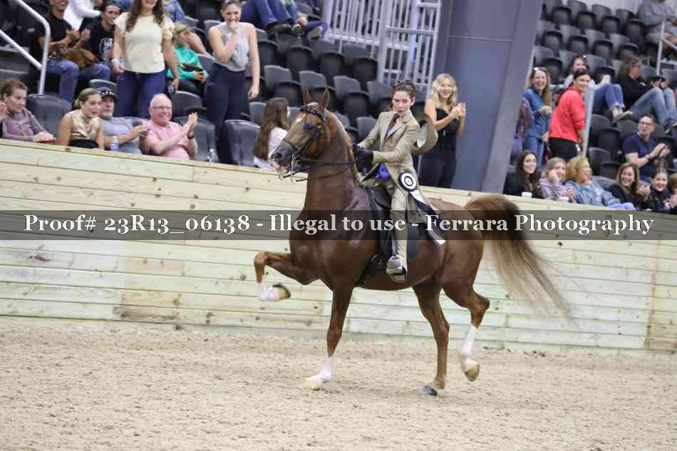 Proof 23R13_06138