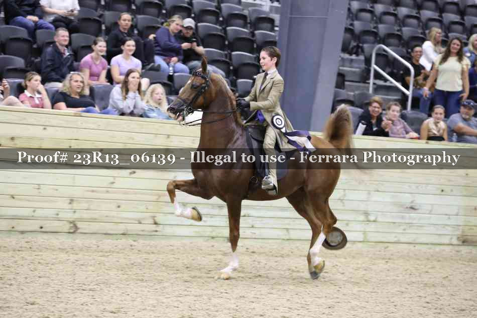 Proof 23R13_06139