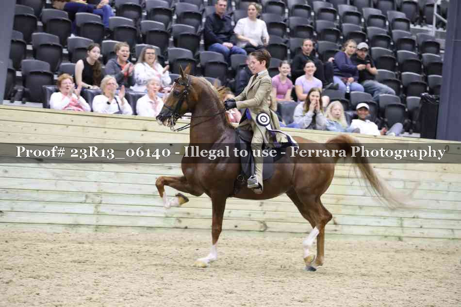 Proof 23R13_06140
