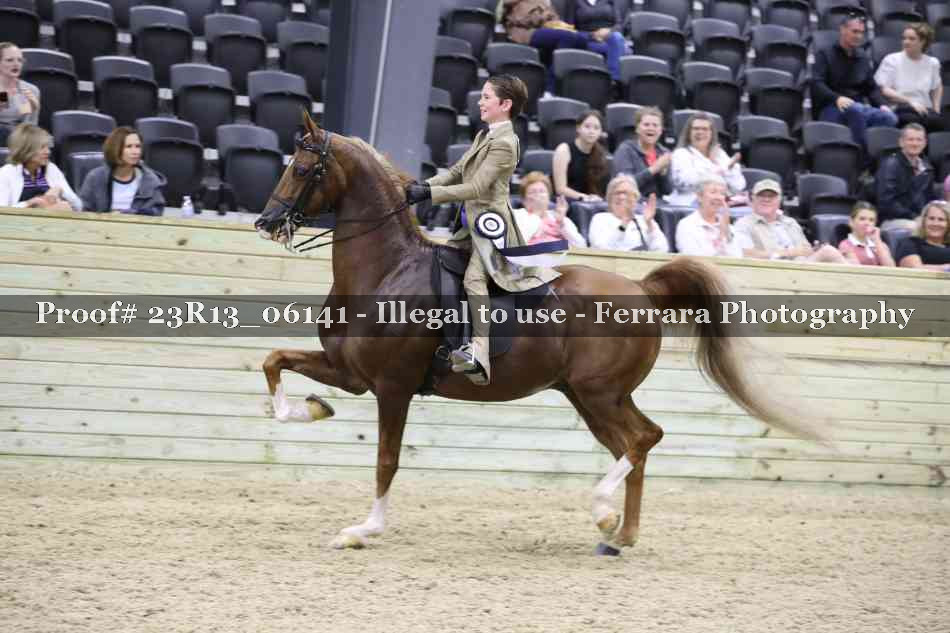Proof 23R13_06141
