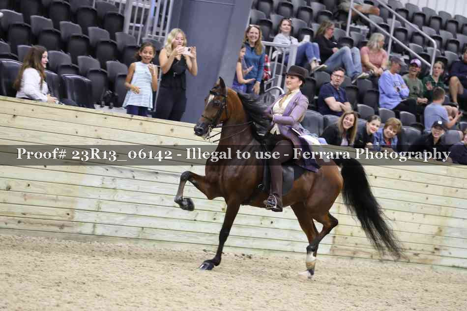 Proof 23R13_06142