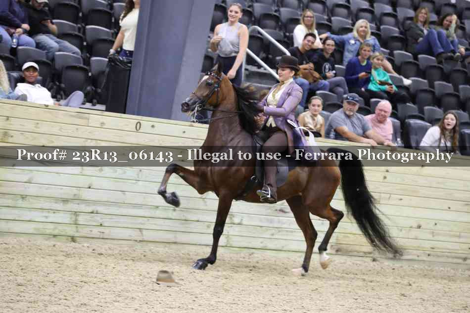 Proof 23R13_06143
