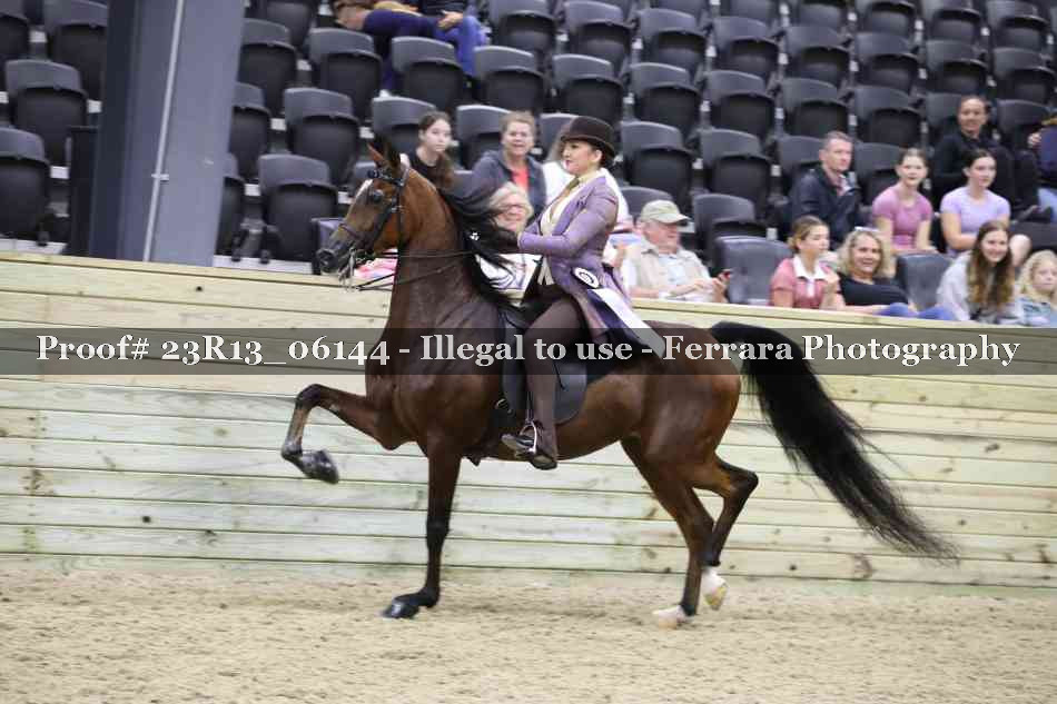 Proof 23R13_06144