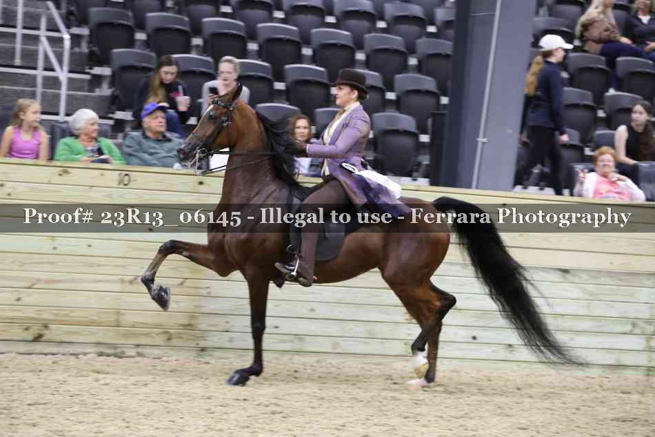 Proof 23R13_06145