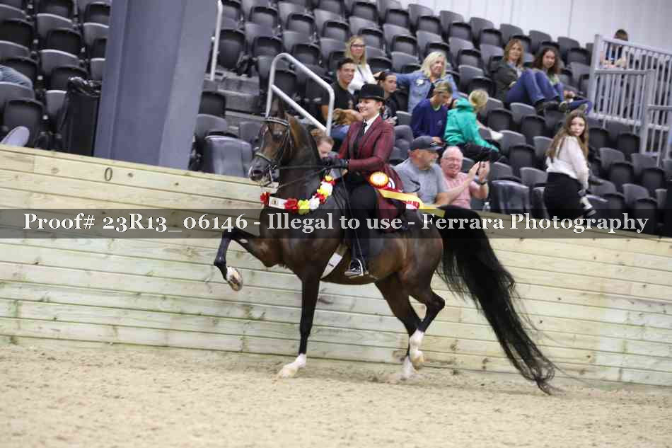 Proof 23R13_06146