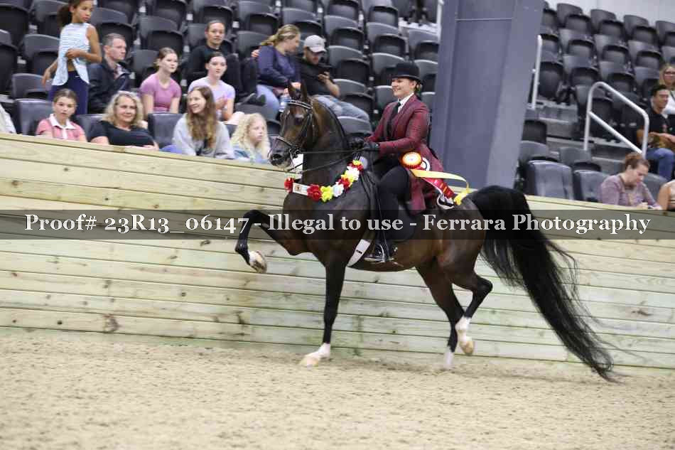 Proof 23R13_06147