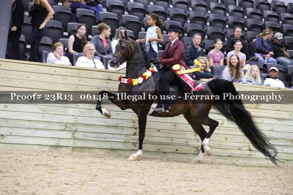 Proof 23R13_06148