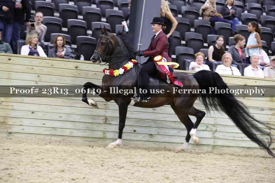 Proof 23R13_06149