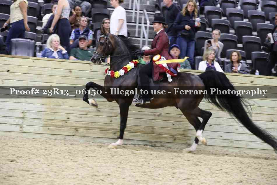Proof 23R13_06150