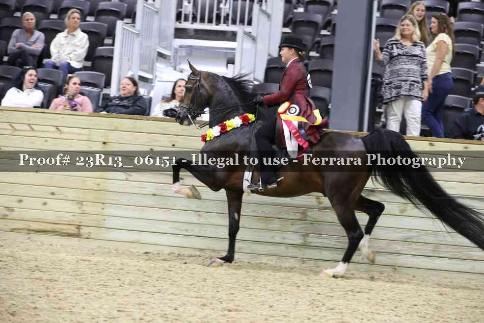 Proof 23R13_06151