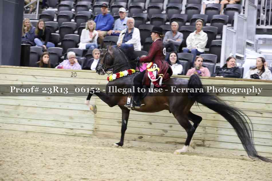 Proof 23R13_06152