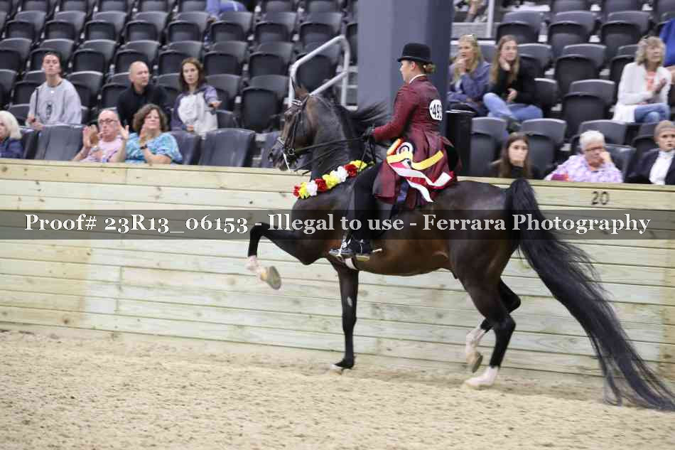 Proof 23R13_06153