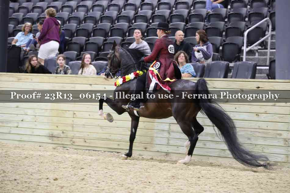 Proof 23R13_06154