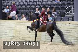 23R13_06154 proof