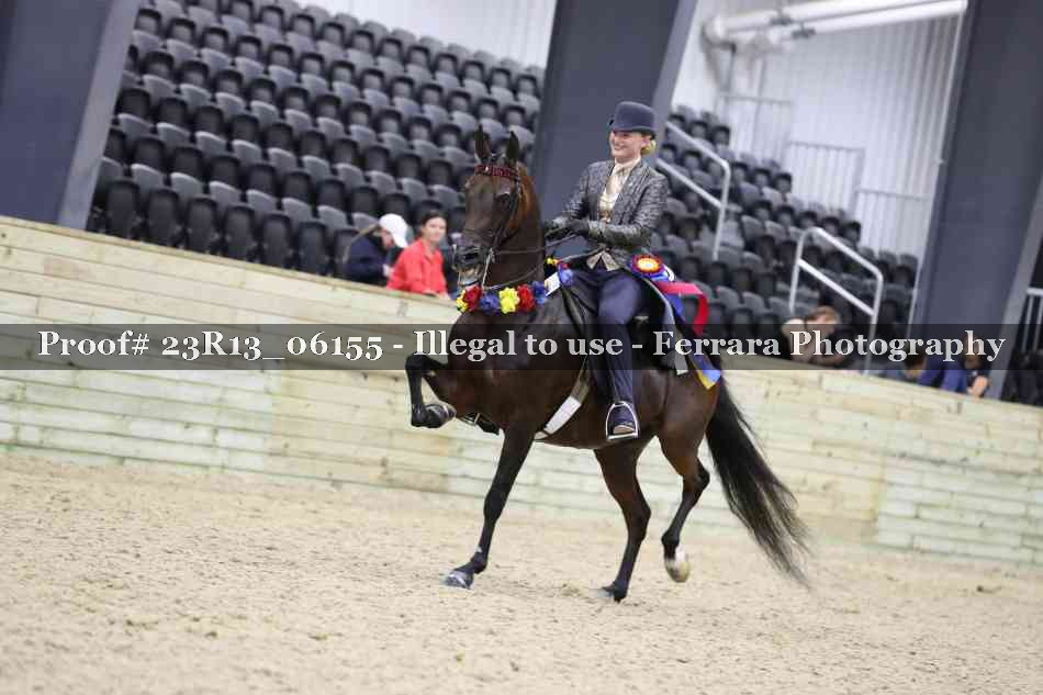 Proof 23R13_06155
