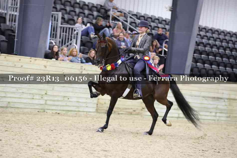 Proof 23R13_06156