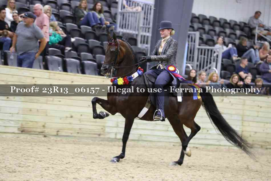 Proof 23R13_06157