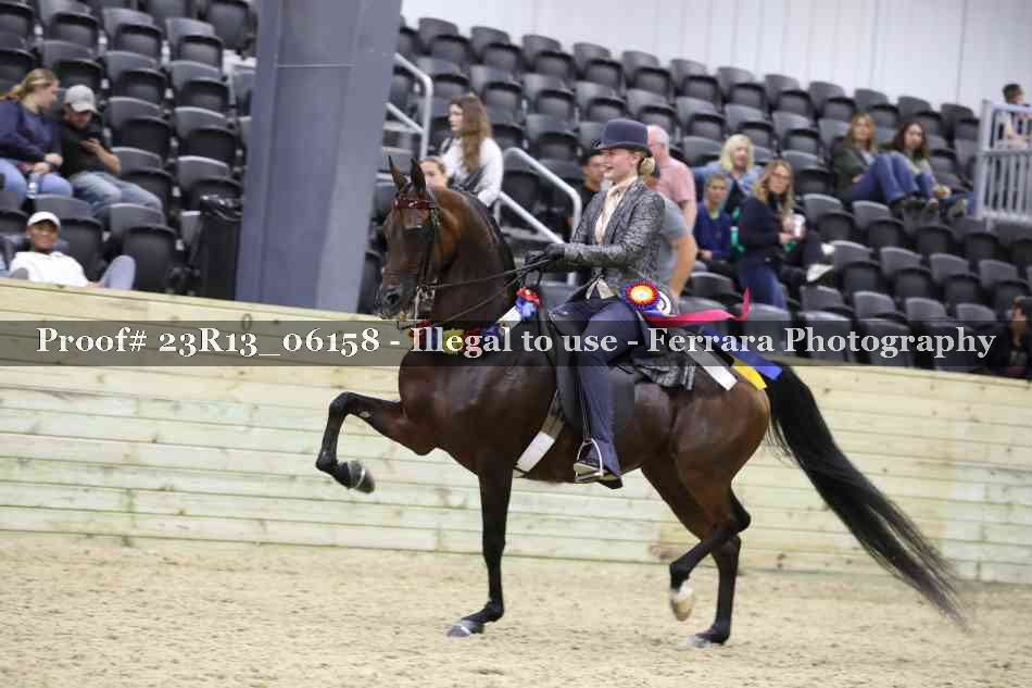 Proof 23R13_06158