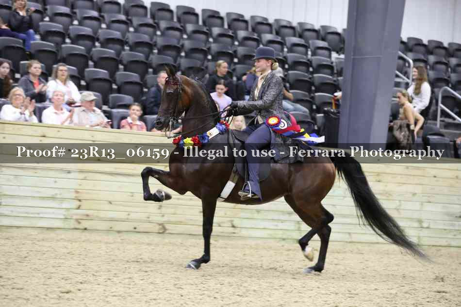 Proof 23R13_06159