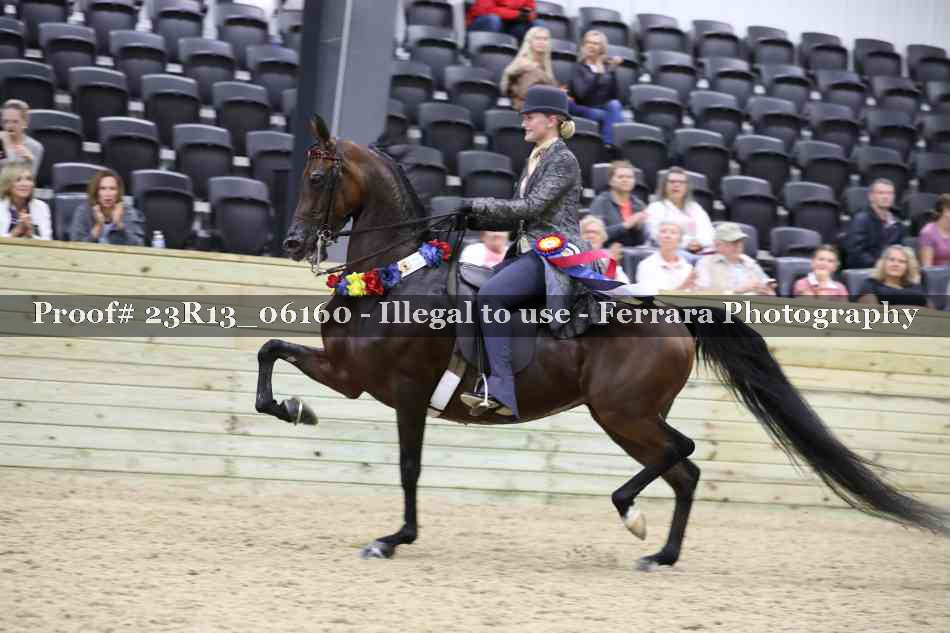 Proof 23R13_06160