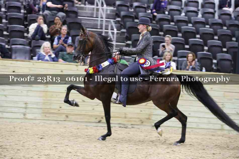 Proof 23R13_06161