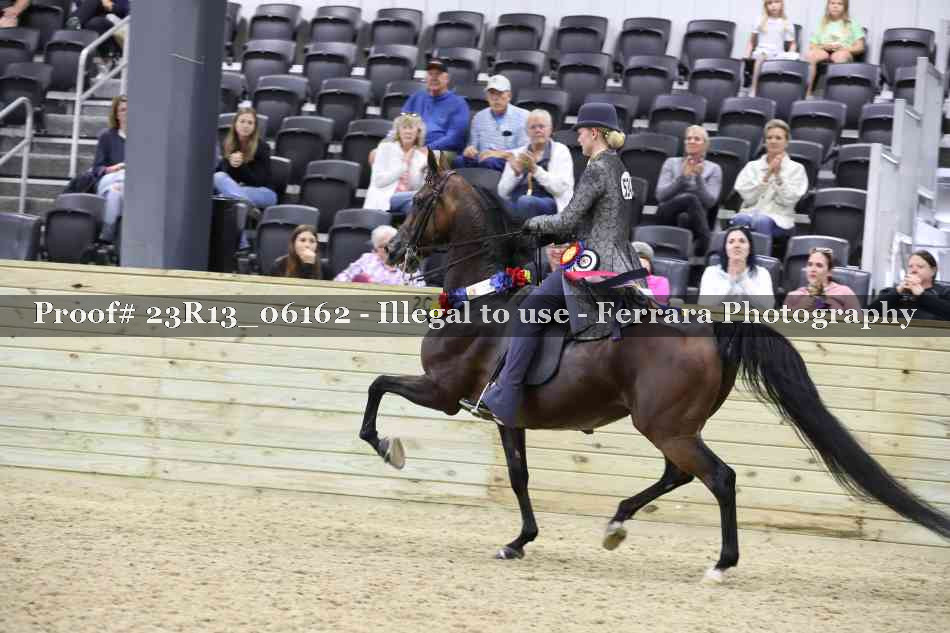 Proof 23R13_06162