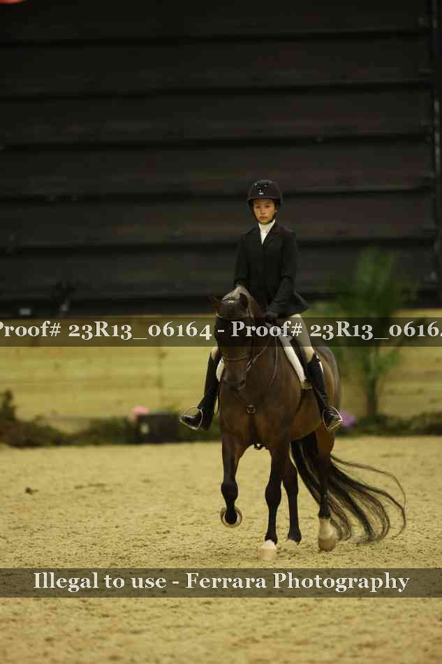 Proof 23R13_06164