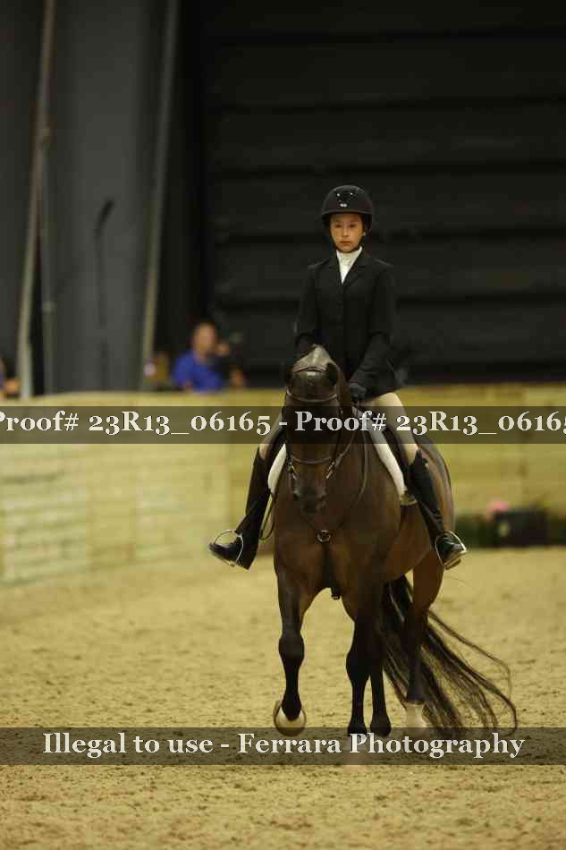 Proof 23R13_06165