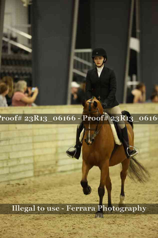 Proof 23R13_06166